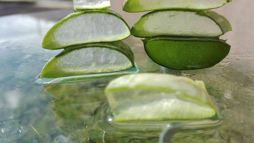 Aloe vera DIY skincare